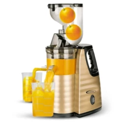 Extracteur De Jus FLORENCE HK-423 300W